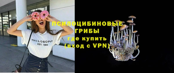 хмурый Балабаново