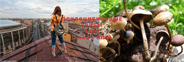 хмурый Балабаново