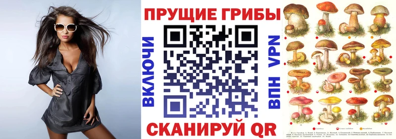Псилоцибиновые грибы GOLDEN TEACHER  Северо-Курильск 
